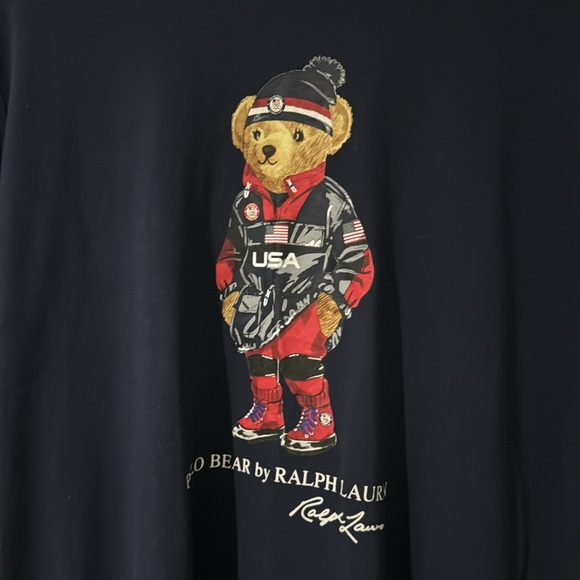 Polo Ralph Lauren Limited Ed Team USA Bear Stadium Olympic Tee Shirt Sweater - Picture 5 of 8